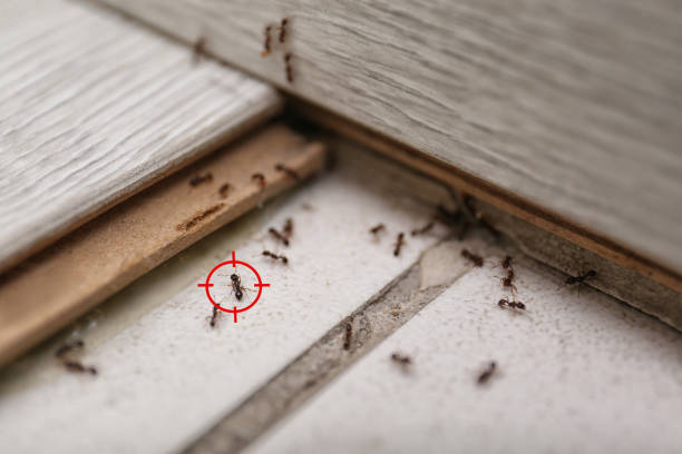 Best Pest Removal Services  in Country Squire Lakes, IN
