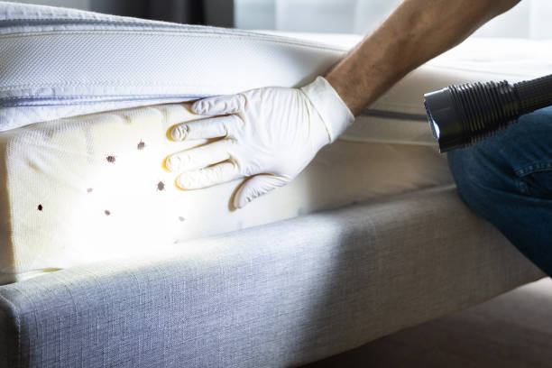 Best Cockroach Control Services  in Country Squire Lakes, IN