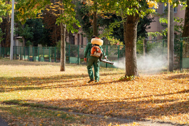 Best Local Pest Control Services  in Country Squire Lakes, IN