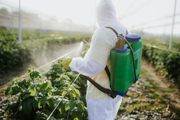 Best Pest Inspection Near Me  in Country Squire Lakes, IN